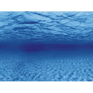 Aquarien-Hintergrund 60x30 cm